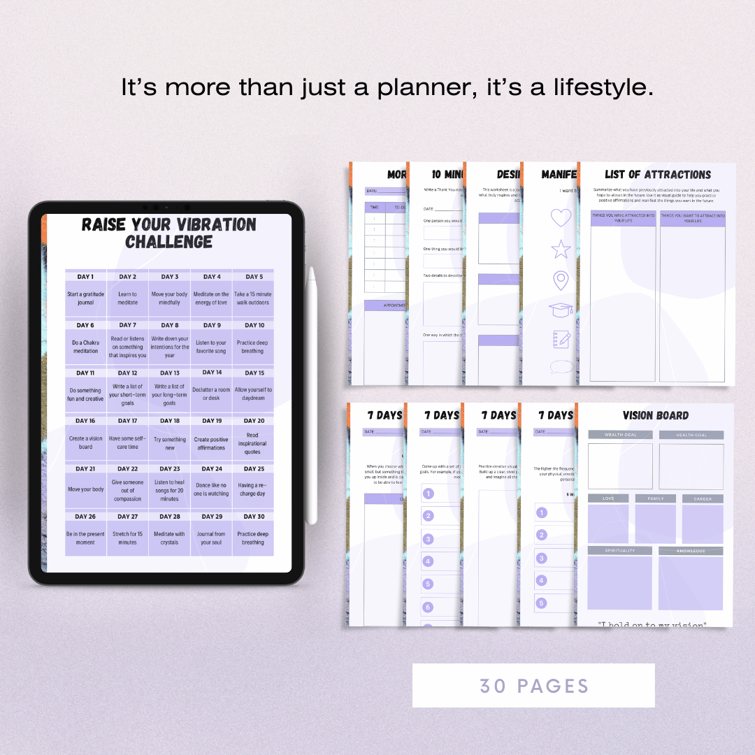 Law of Attraction Planner